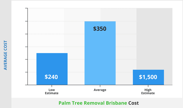 palm tree removal brisbane cost