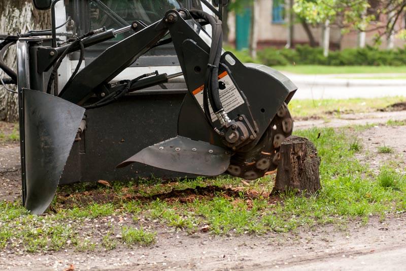 Stump grinding