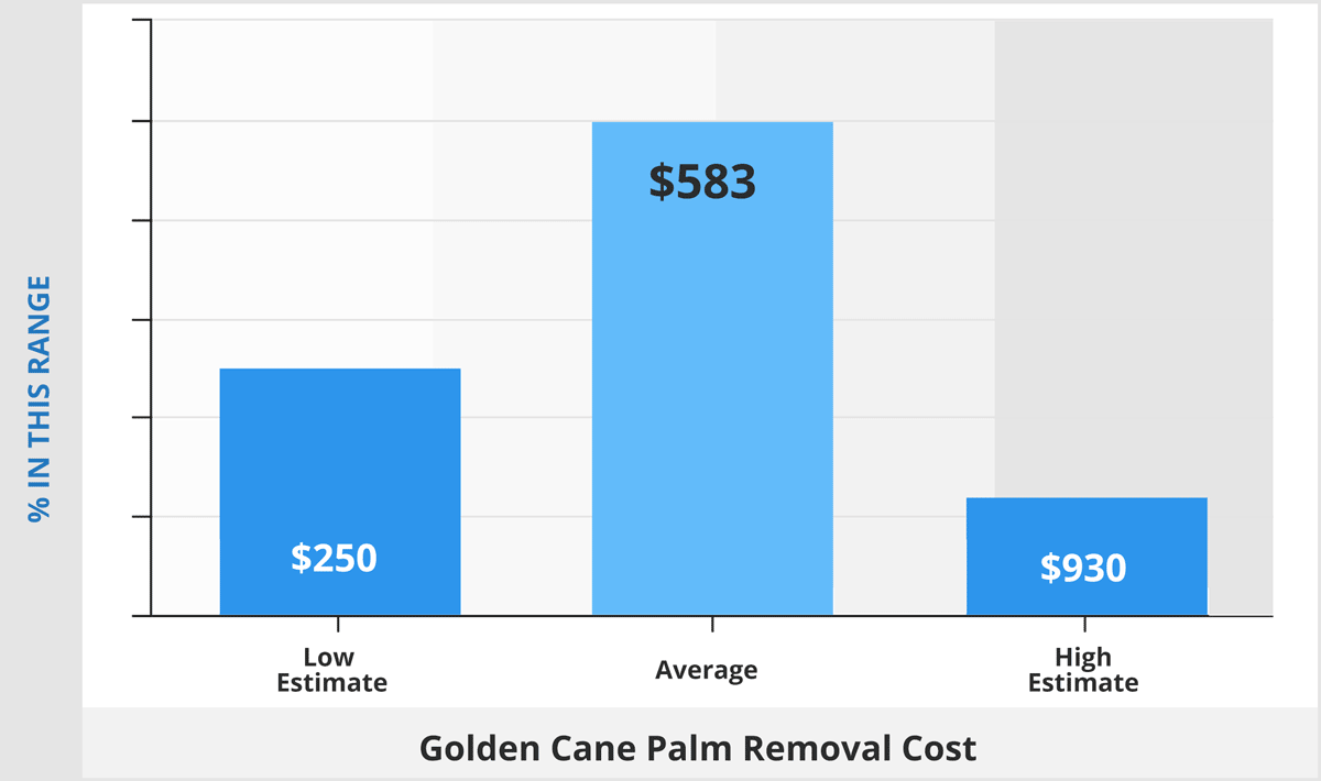 Golden cane palm removal cost