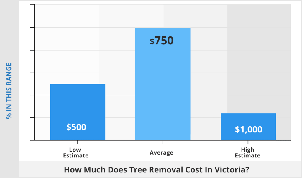 How Much Does Tree Removal Cost in Victoria