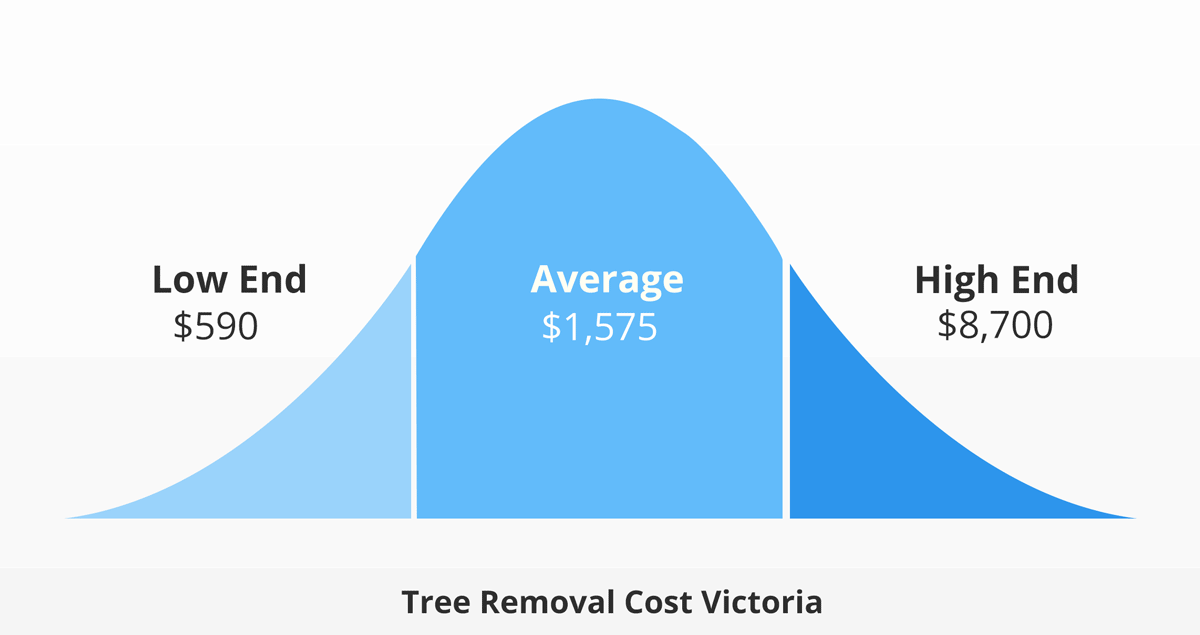 Tree Removal Cost Victoria