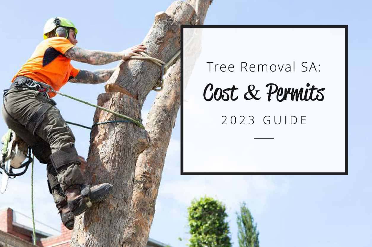 Tree removal SA Cost Permits 2023 Guide