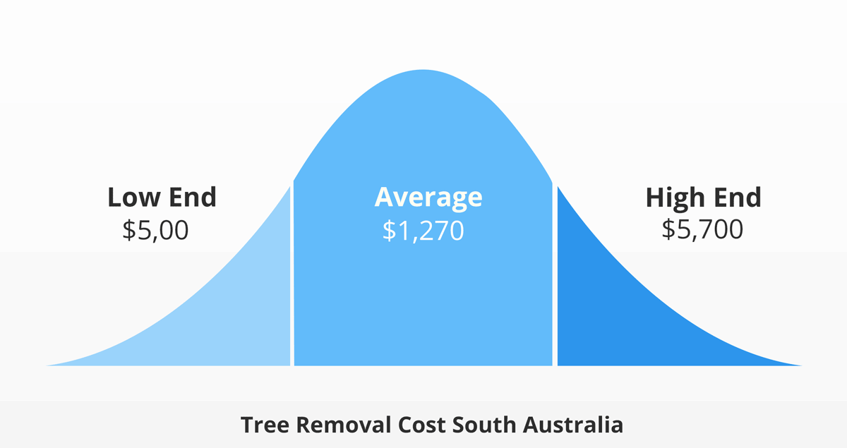 Tree removal cost south australia infographic