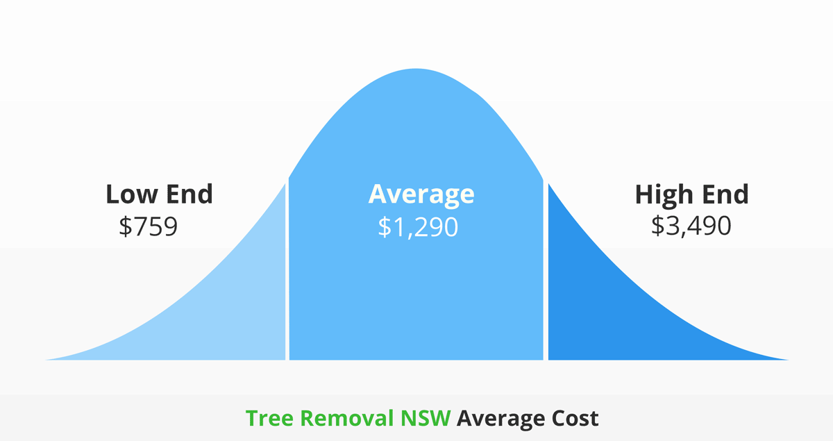 Tree removal NSW average cost infographic