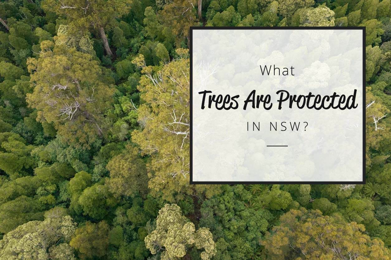 what trees are protected in NSW
